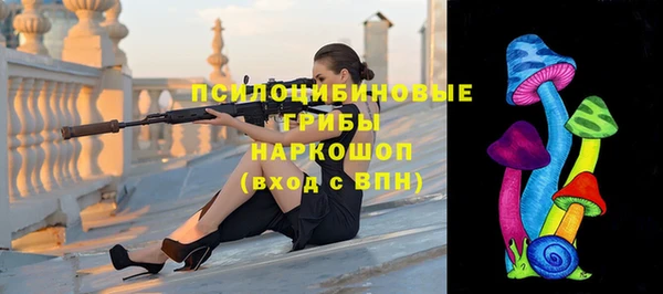 прущая мука Арсеньев